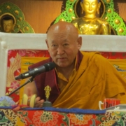 S.H. Drikung Kyabgön Chetsang